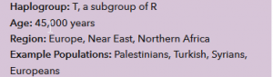 2013-08-26 17_31_11-My Ancestors - Maternal Line - 23andMe